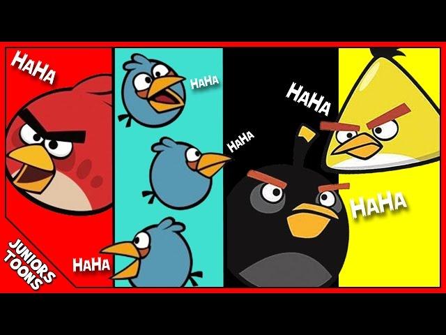 ANGRY BIRDS Funny Animated Parody Cartoon | Juniors Toons | #AngryBirdsMovie