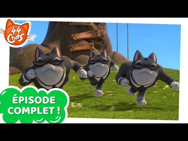 44 Chats | ÉPISODE COMPLET | Cats in Black