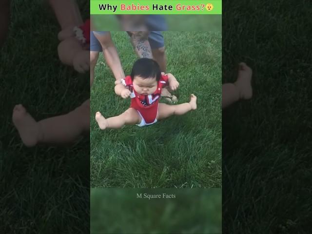 Why Babies Hate Grass? #facts #shorts #ytshorts