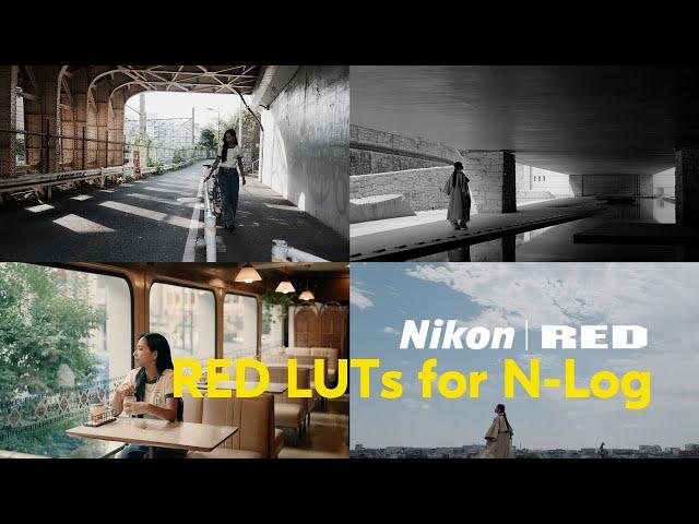 Nikon | RED: Master Cinematic Video with RED LUTs for N-Log