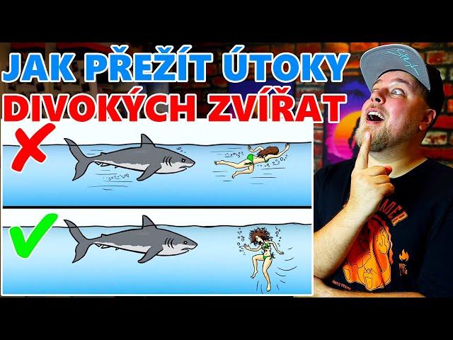 JAK PŘEŽÍT ÚTOKY DIVOKÝCH ZVÍŘAT