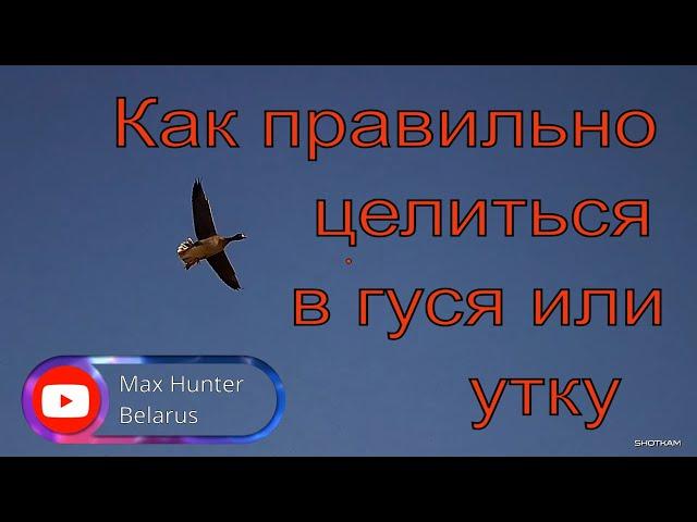 No.118 How to aim at a flying goose and duck / New super video Shotkam / Goose Hunting 2022