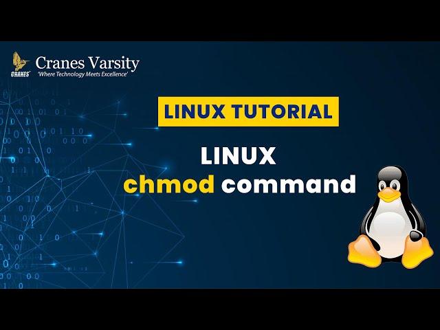 Linux chmod Command