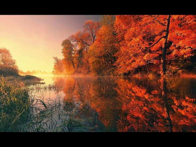 RED AUTUMN Uladzimir Mironchyk / accordion version