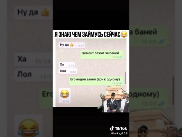 Свиноворот! Свиней!