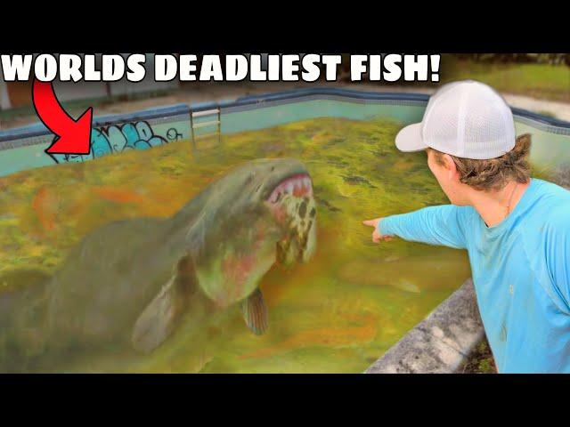 I Caught The Worlds DEADLIEST Fish in an Abandoned Pool!