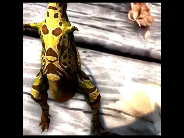 Carnotaurus Frog laughing Animation v2 #carnotaurus  #frog  #frogmemes  #laugh  #dinosaur