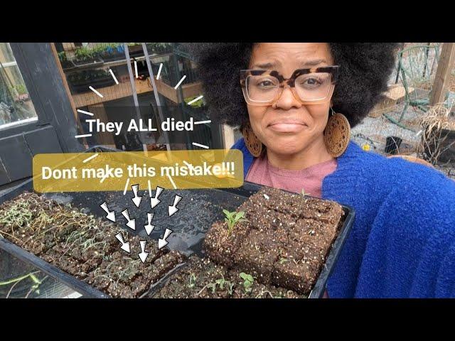 Learn from my mistakes! + 4 weeks until planting time! SC zone 8b! #containergardening