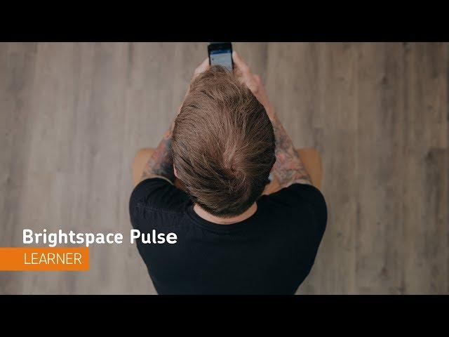 Brightspace Pulse - Navigation - Learner