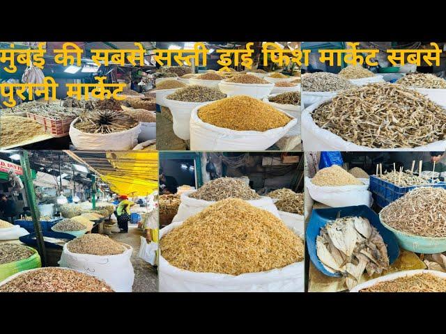 Dry Fish Market Sewri Mumbai Wholesale Dry Fish Market Vlogs