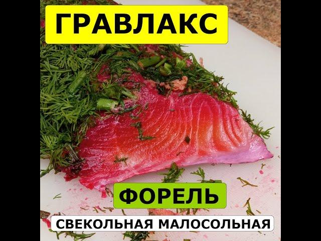  Гравлакс со свеклой  Форель малосольная в свекле  Форель в свекольном маринаде  Рыба со свеклой