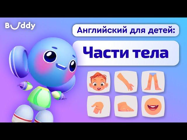 Части тела на английском | Учим английские слова с Бадди | Buddy.ai | Английский для детей