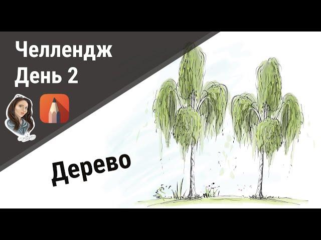 2 день челленджа. Рисуем дерево - березу. Программа SketchBook