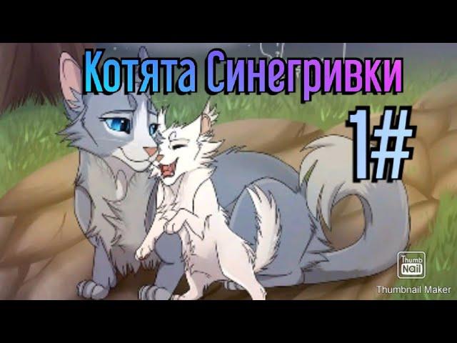 Коты воители. Котомульт Котята Синегривки |РУССКАЯ ОЗВУЧКА|1#