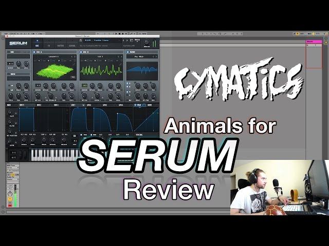 Cymatics Animals for Serum Review (+ 30 free presets!)