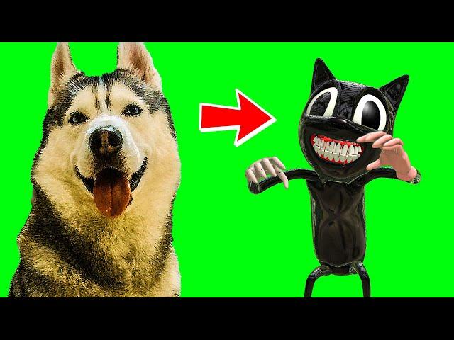 БАНДИТ ПРЕВРАТИЛСЯ В CARTOON CAT !! (Хаски Бублик) Говорящая собака SCP серии