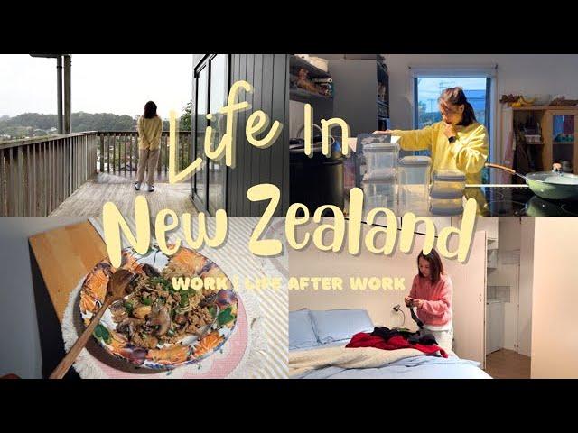 [VLOG] Ordinary days in New Zealand | What I cook for dinner after work | 1 hour house chore routine