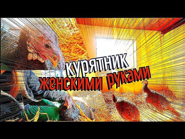 Ремонт курятника ОТ (А) НАЧАЛА до (Я) КОНЦА. Женскими руками. Заселение индюшек. Ферма в Германии