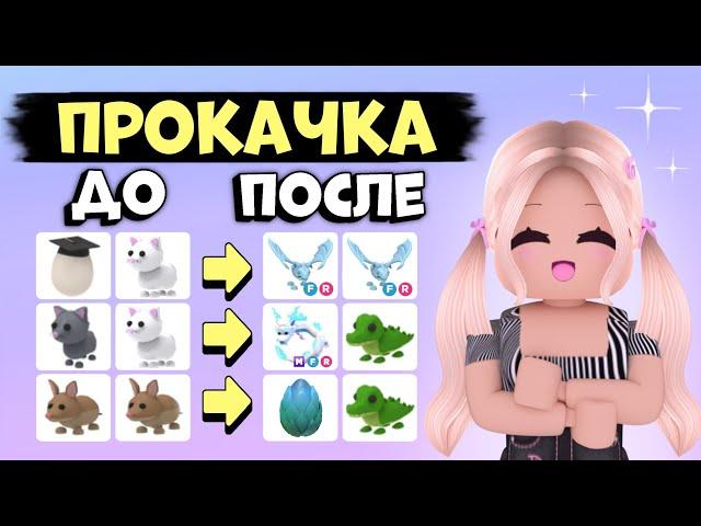 КАК ПРОКАЧАТЬСЯ В АДОПТ МИ С НУЛЯ!? ОТ НУБА ДО ПРО! | Adopt me Roblox