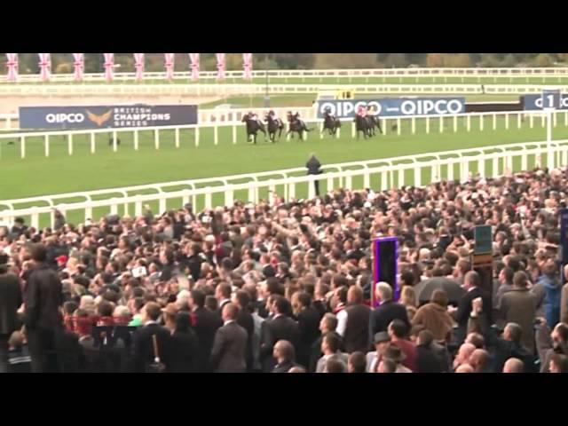 Frankel better than Black Cavier ? (All truth in this video)