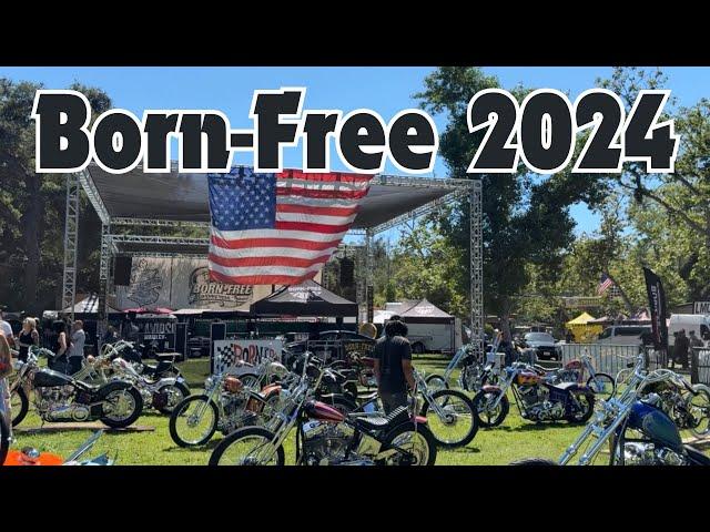 Born-Free 2024 Custom Motorcycle Show First Look #DicEtv