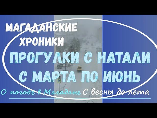 Магадан с марта по июнь 2021. Как менялась погода за эти 3 месяца. Хроники Магадана от сестры Натали