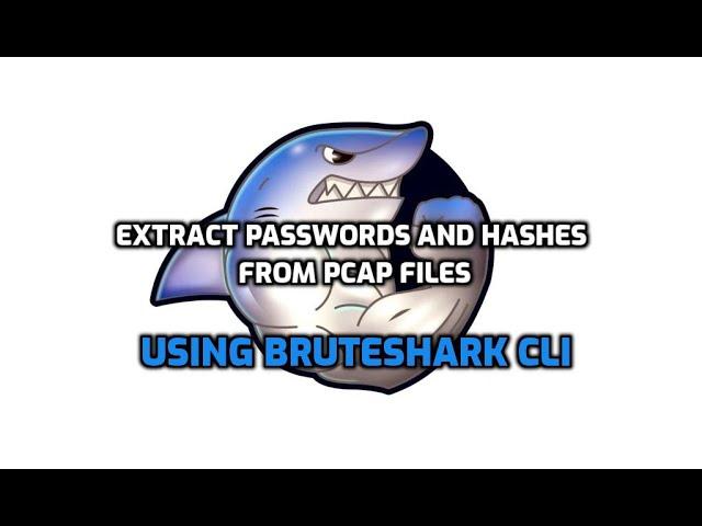 BruteSharkCli Usage Example - Extract Multiple Passwords and Hashes Including Kerberos and NTLM