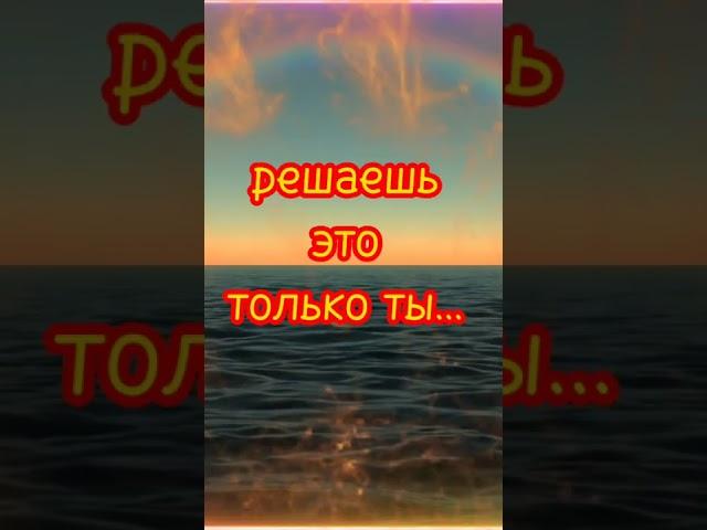 Судьба даёт тебе"раскраску"