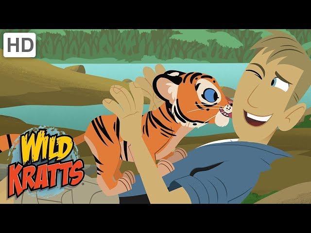 Wild Kratts - The Wildlife Heroes Saving One Animal at a Time