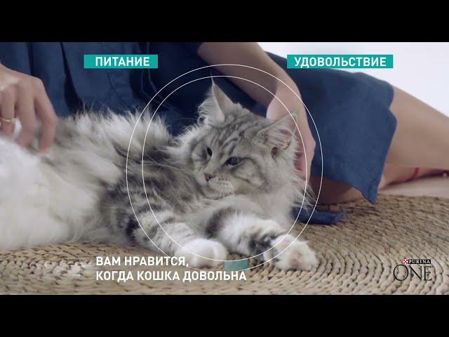 Реклама Purina ONE  " Кормите правильно "