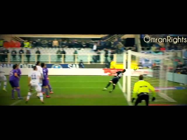 Edinson Cavani All Goals 12/13 HD 720p