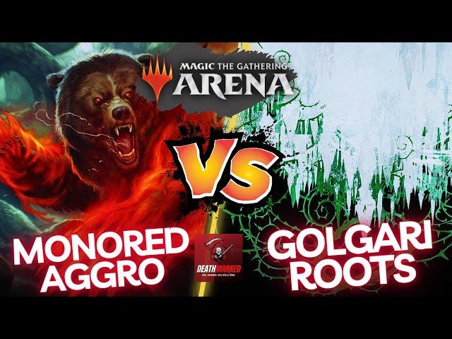 MTG TDM Standard Mono Red Aggro vs Golgari Roots - Arena Gameplay Matchup