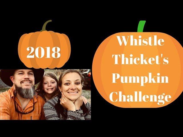 Whistle Thicket’s Great Pumpkin Challenge 2018! (Enter by May 31st)