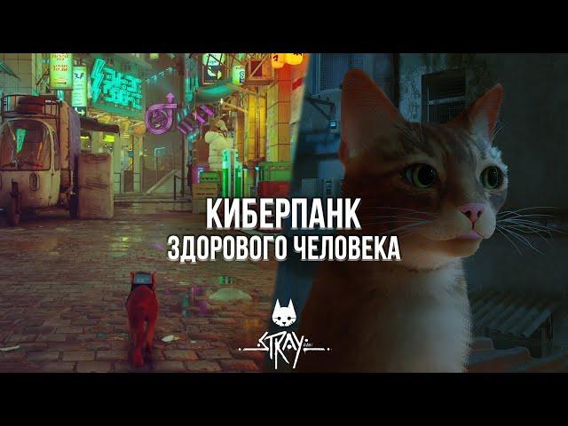 КИБЕРПАНК КОТОРЫЙ МЫ ЗАСЛУЖИЛИ - ОБЗОР STRAY НА PLAYSTATION 5