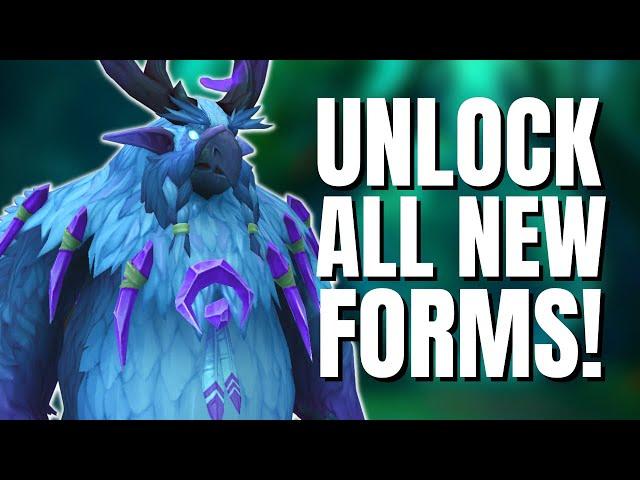 How to Unlock Every Druid Form Customisation Option in Patch 10.2