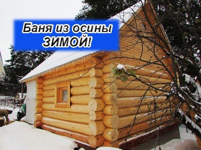 Баня из осины в чашу & Обзор через пол года!