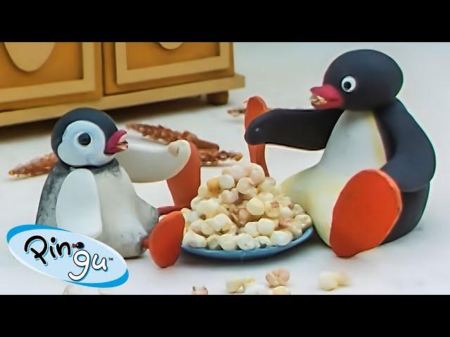 Pingu at Home  | Pingu - Official Channel | Cartoons For Kids