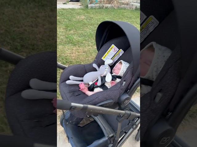 Uppababy Stroller is Perfect For Reborn Baby & Toddler Dolls!