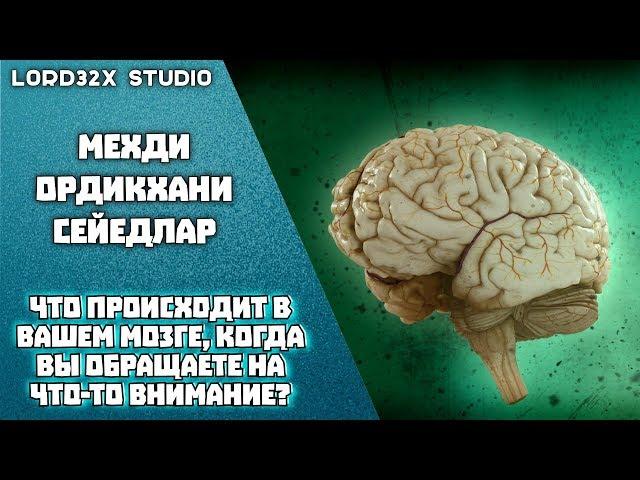 [ТЭД] Мехди Ордикхани - Что происходит в вашем мозге, когда вы обращаете на что-то внимание? (2017)