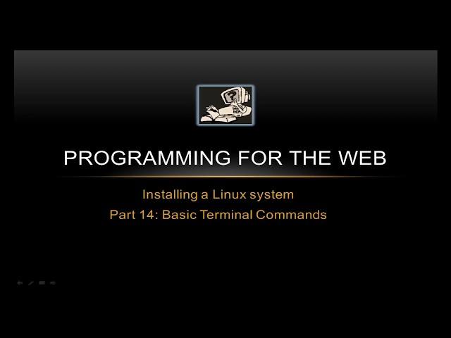 Basic Terminal Commands - Programming for the Web