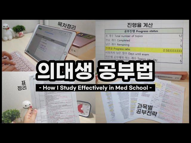 How I study effectively in med school | How to use iPad Numbers (Excel) | Korean med student