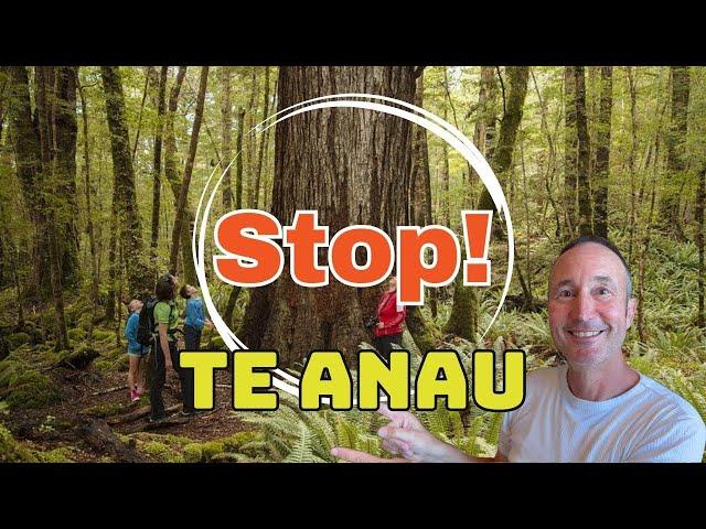 MAKE THE MOST - Things to Do in Te Anau New Zealand