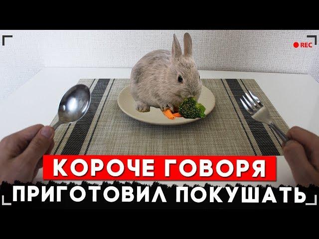 КОРОЧЕ ГОВОРЯ, Я ПРИГОТОВИЛ ПОКУШАТЬ [От первого лица]