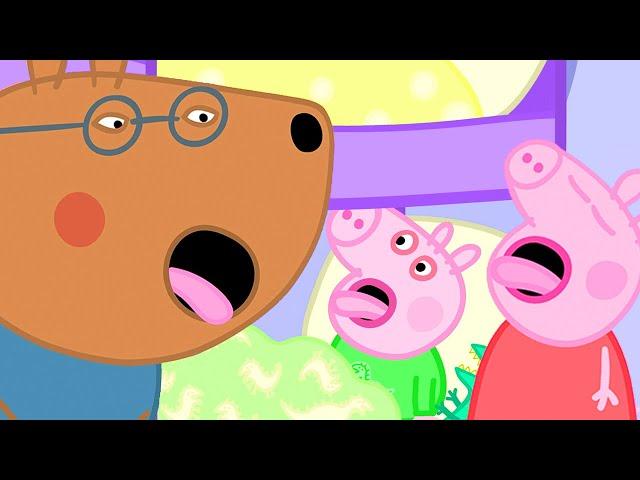 Peppa Pig is Not Well | Peppa Pig Full Episodes