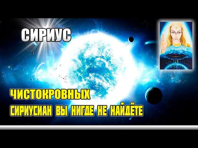 СИРИУС - Сколько душ с Сириуса воплощено сейчас на Земле#Эра Возрождения