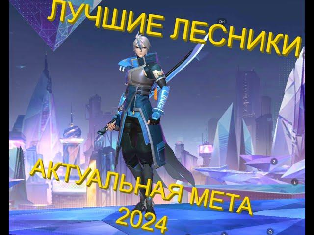 ЛУЧШИЕ МЕТОВЫЕ ЛЕСНИКИ В 2024??? MOBILE LEGENDS BANG BANG