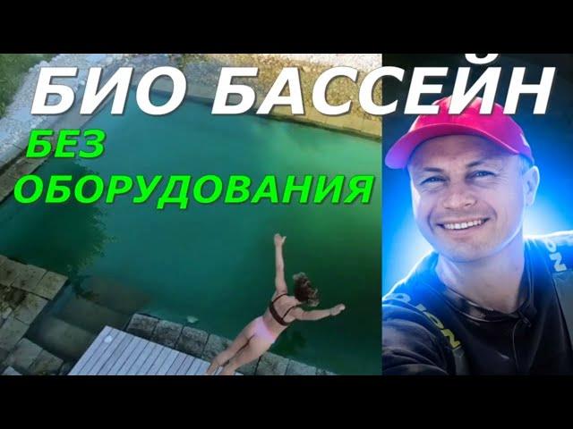 Био бассейн без оборудования | Природный плавательный пруд | ПРУД ПРУДИ