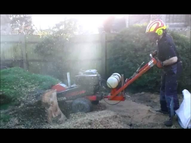 Alpha Garden Stump grinding