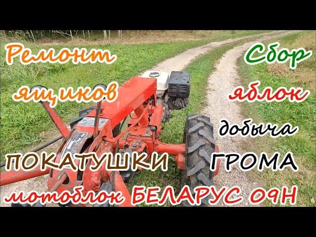 Ремонт ящиков.Сбор яблок.Покатушки.Мотоблок МТЗ-09Н.