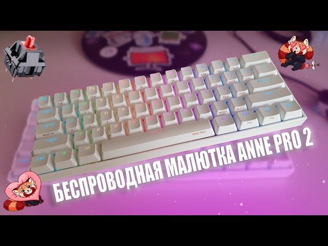  ANNE PRO 2 - ИДЕАЛЬНАЯ 60% МЕХАНИКА НА CHERRY MX RED SWITCH/СРАВНЕНИЕ С OUTEMU/